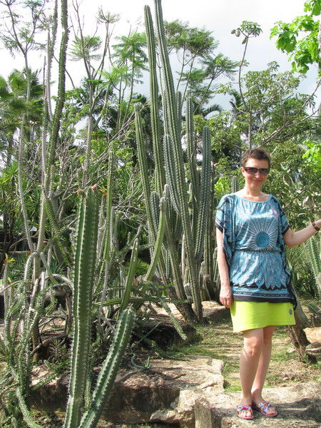 Елена Денисова