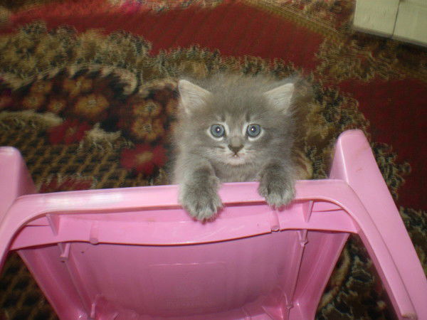 Таня Танечка