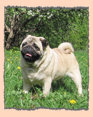 Наталья Щуркова