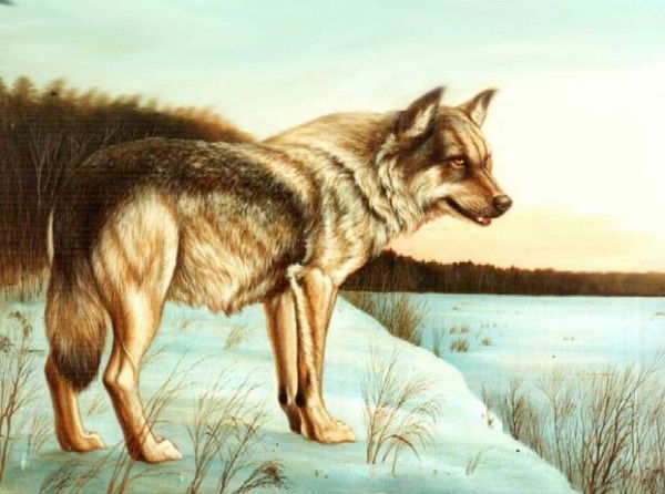 Евгений Байбородов