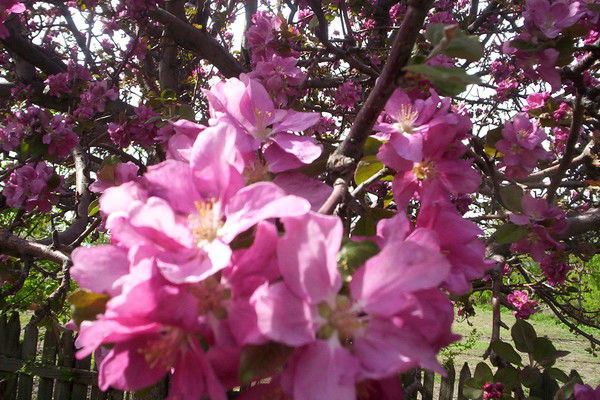 ** Татьяна **