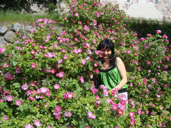 Елена Талисоо