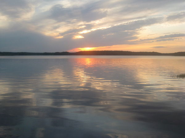 Наталья Артёменко