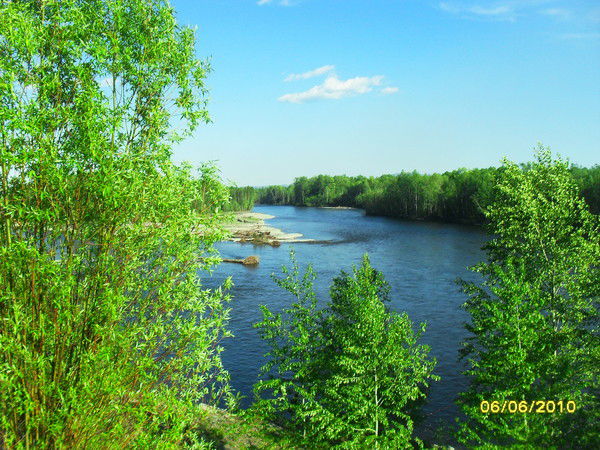 Амгуньлесхоз Амгуньлесхоз