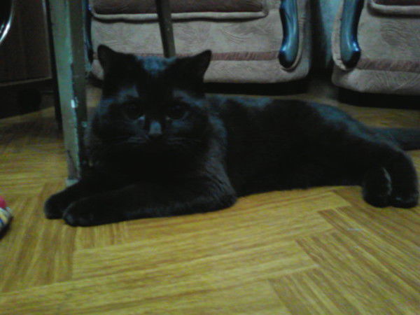 Ирина Лазарева