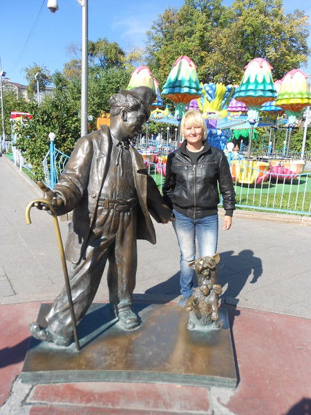 Орхидея Орхидея