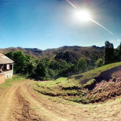 Камиль Мамедов