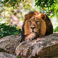 Татьяна Филиппова