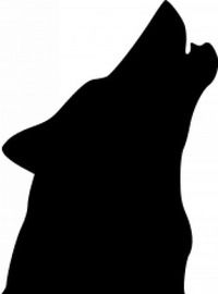 Александр Светлицкий