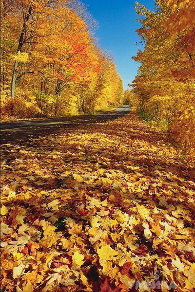 Ермек Рамиев