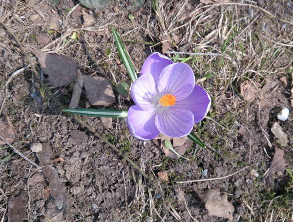 Светлана Горбунова