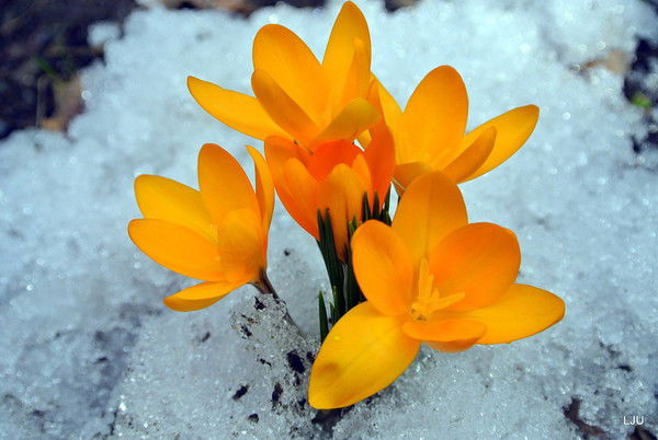 Дворец Творчества