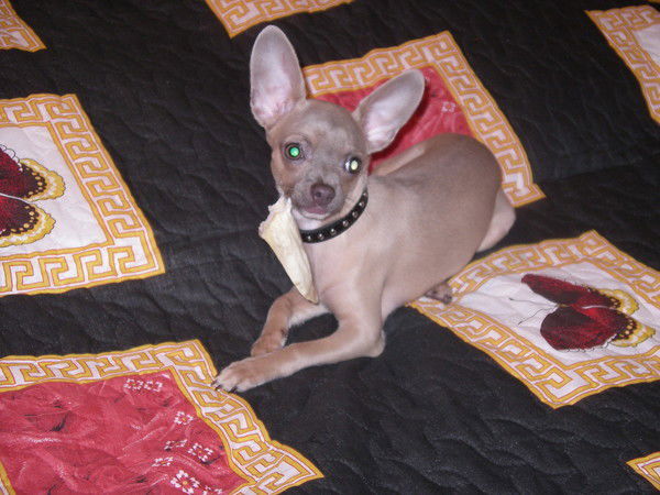 Людмила Тучина