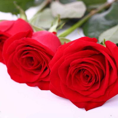 Алия Хамраева