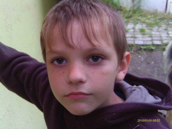 Андрей Шапкин