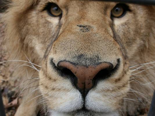 Александр Федоров