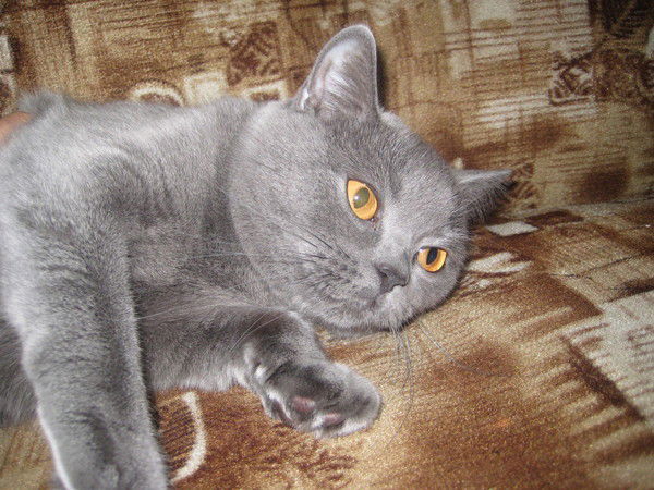 Марина Булачева