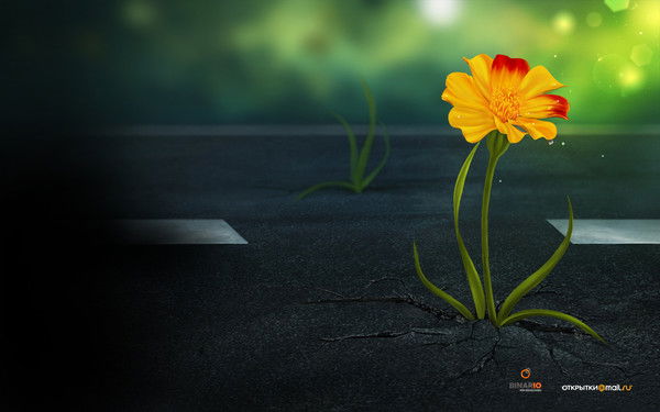 Татьяна Кузнецова