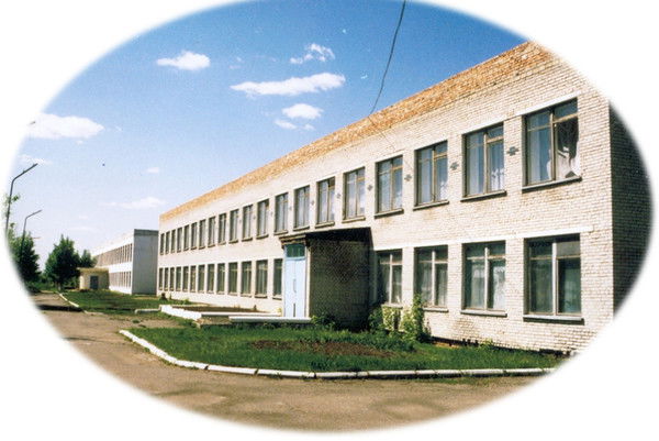 Зеленоборская Школа - Гимназия