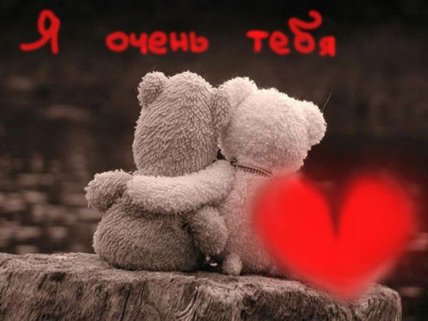 Света Брезгин