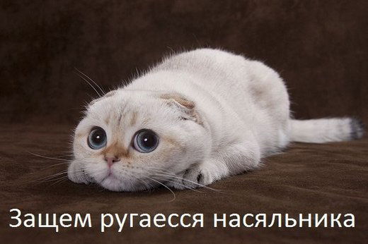 Неисправимый Романтик