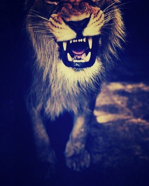 Анастасия Лунёва