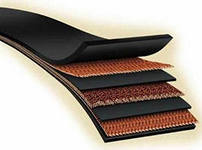 Дмитрий Олейник