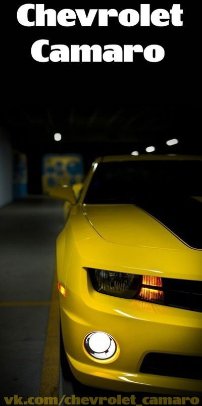 Даниил Вайло