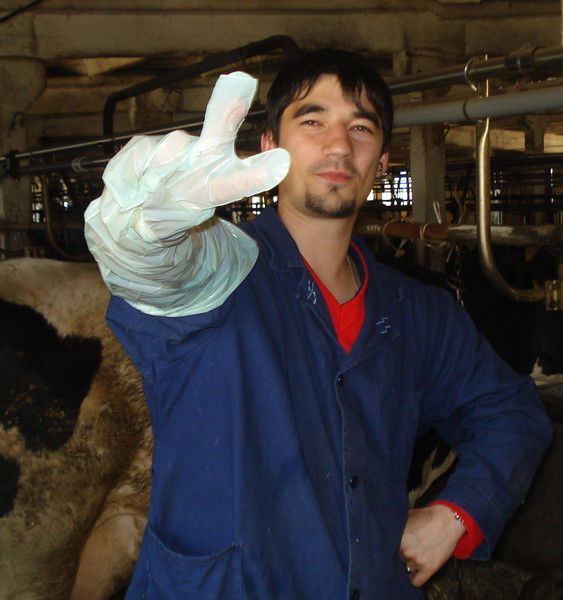 Андрей Борищенко