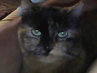 Вячеслав Щербаков