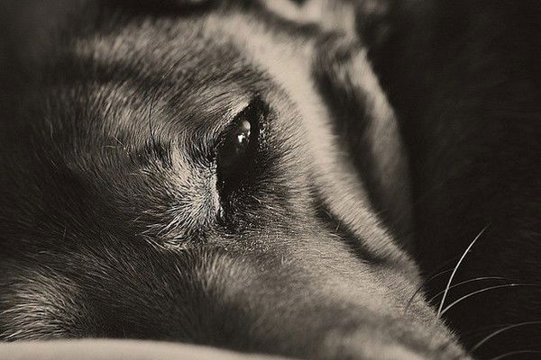 Катерина Казеева