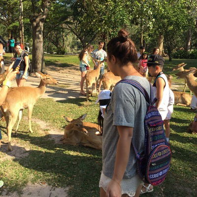 Айпери Сарбашова