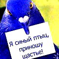 Марина Фатахова