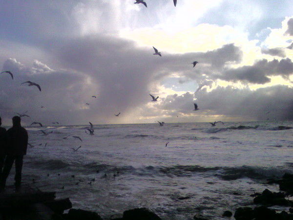 Aigerim Aimurzaeyeva