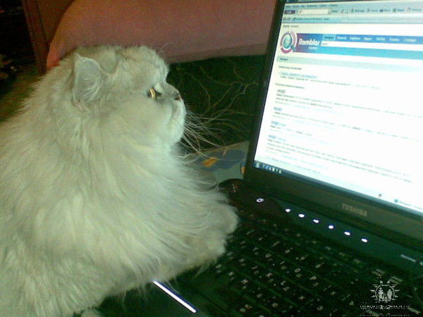 Марина Никольская