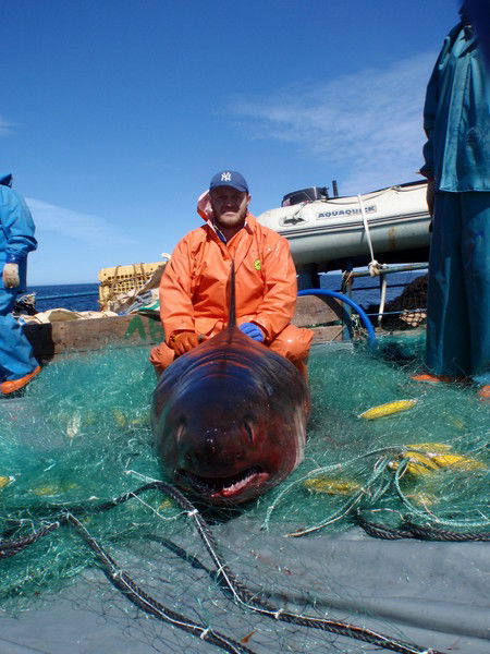 Шамиль Ибрагимов