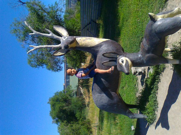 Сима Розиева