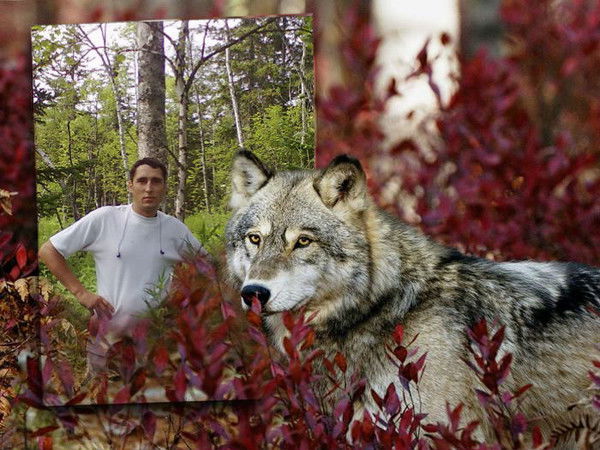 Евгений Козаченко