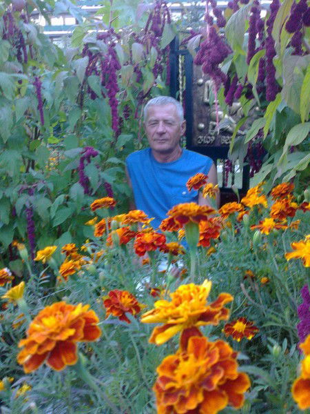 Николай Гребеньков