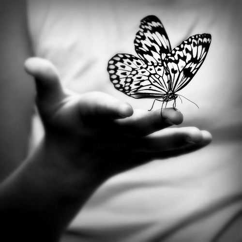 Елена Мылтасова