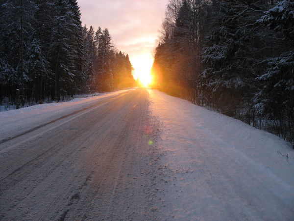 Алексей Мусалаев
