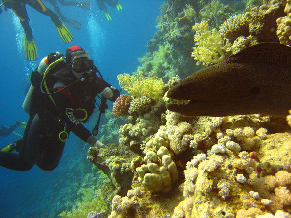 Лариса Евгеньевна