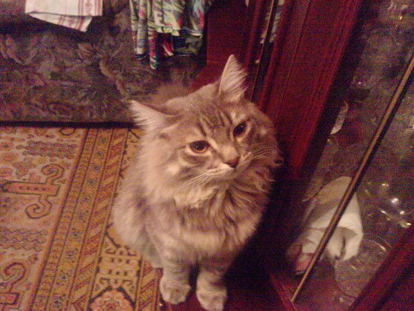 Ольга Паевщик