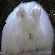 Константин Дрягунов