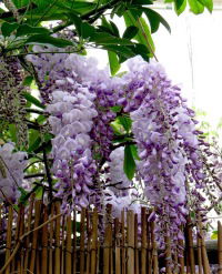 Людмила Петухова