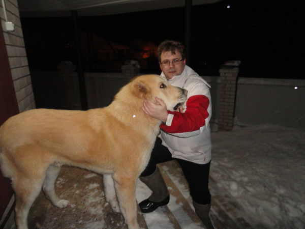 Александр Широков