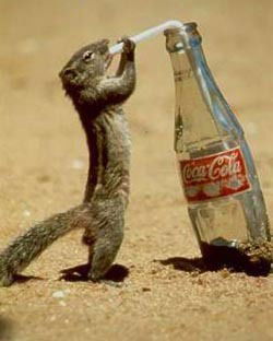 Сергей Кривых