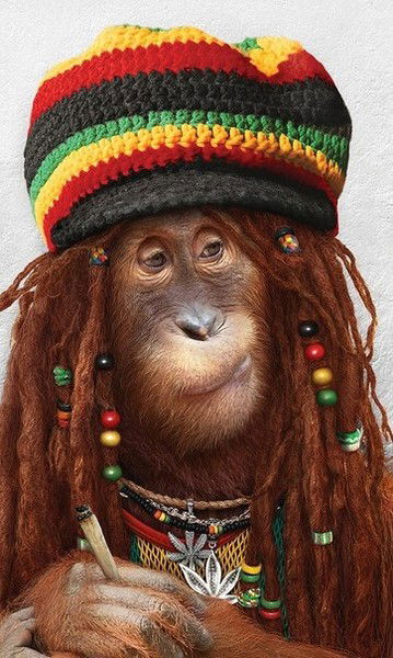 Андрей Мондзолевский