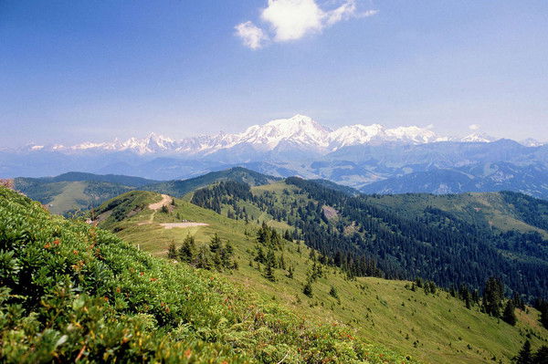 Алмас Кисабеков