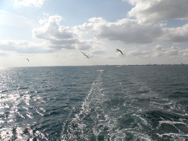 Ольга Панкова